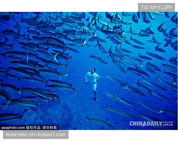 _极限潜水探险：探索深海的秘密_，极限潜水时间记录