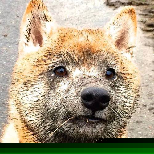 “武汉马拉松：耐力之王的角逐”