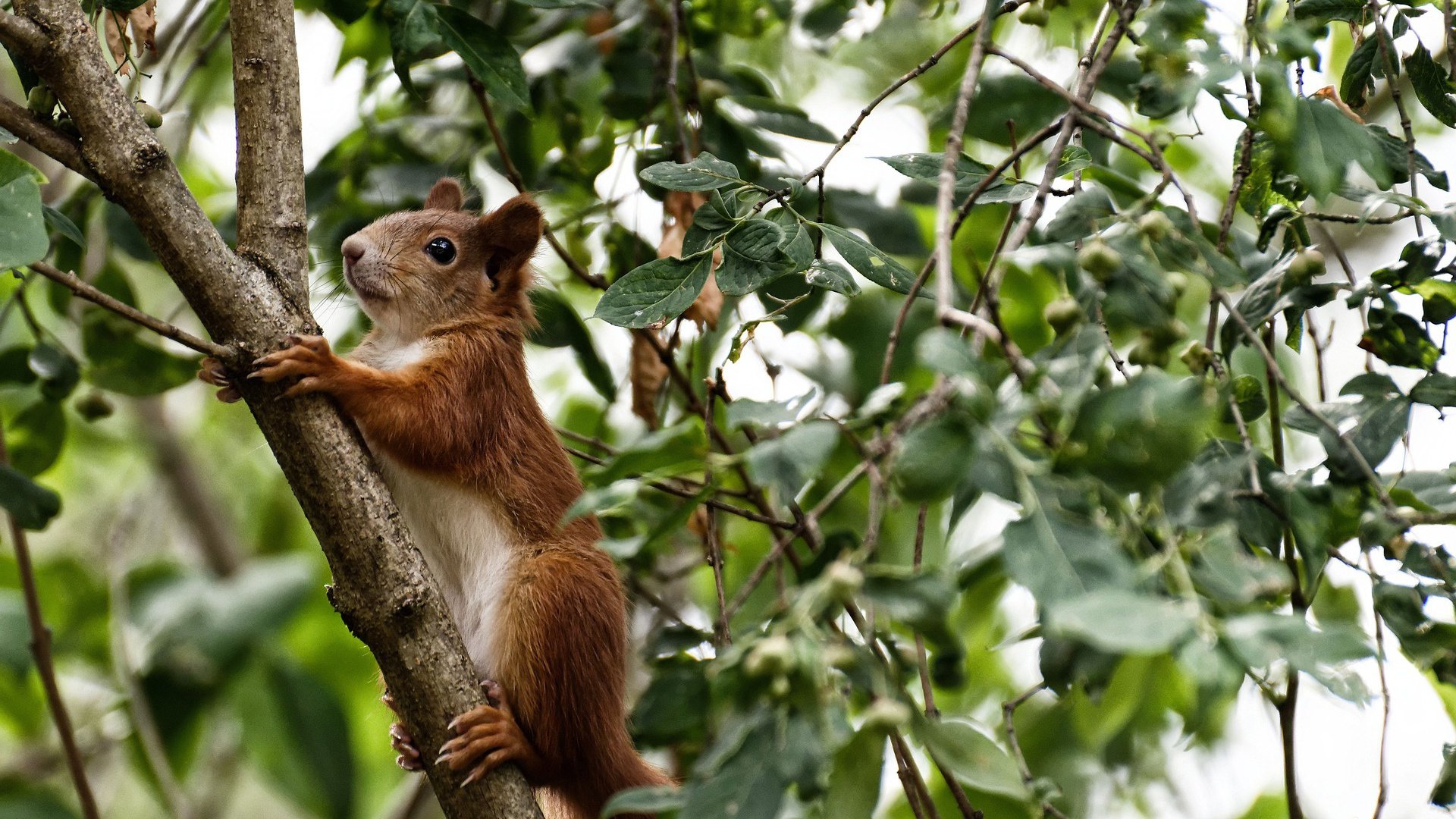 “武汉马拉松：耐力之王的角逐”