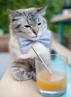 开云·体育官网APP下载-中国女篮冲击世界前三需提升攻防稳定性，中国女篮实力剧增