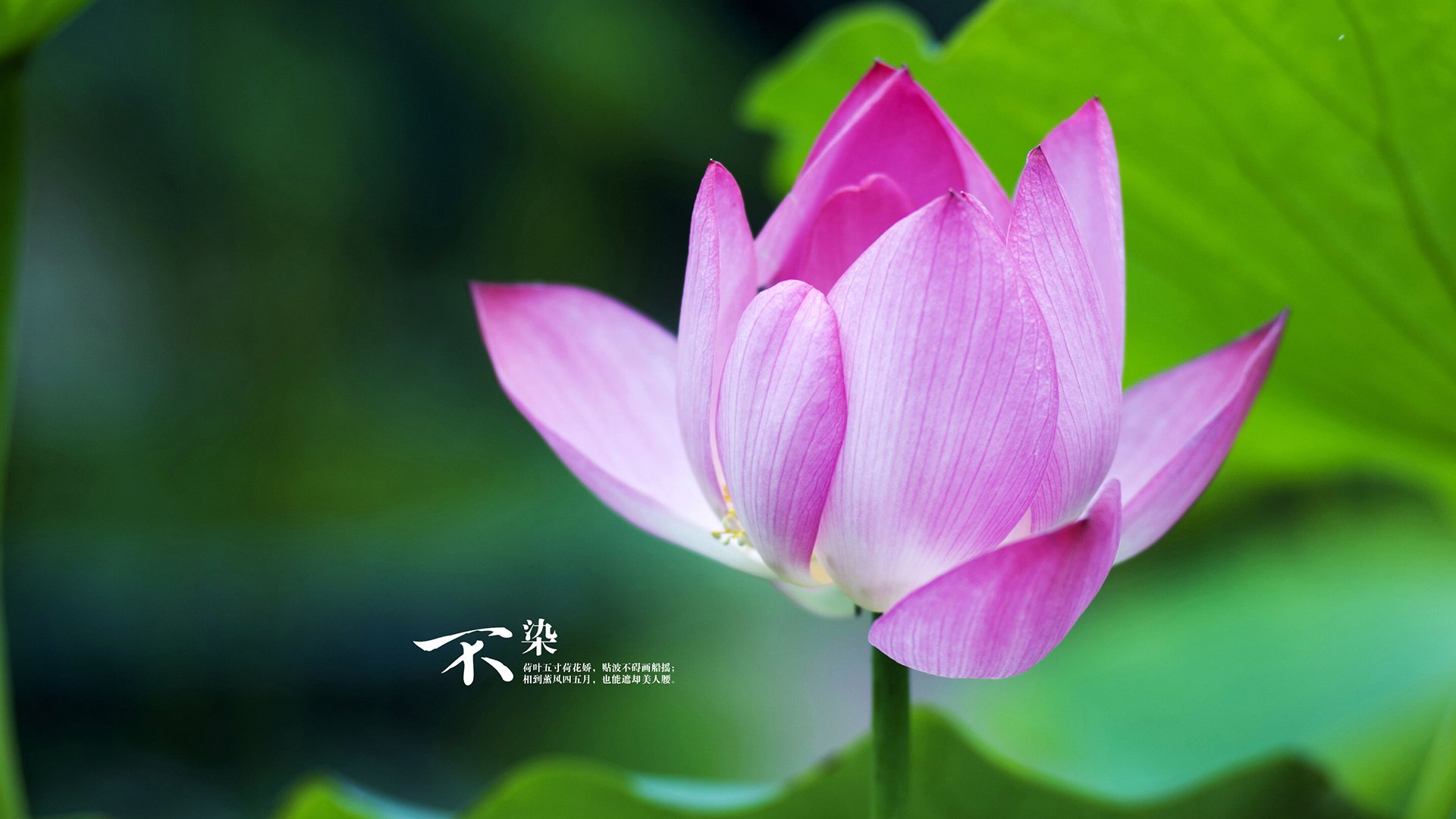 kaiyun开云·官方网站-中国女篮保持高强度训练 保持竞技巅峰，中国女篮好强