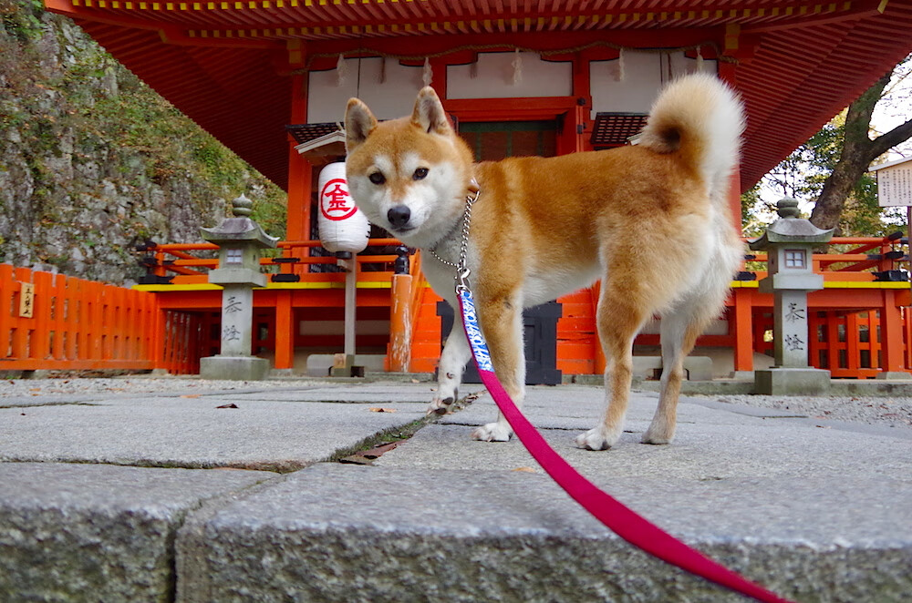 中国三人女篮体能训练加强，中国三人女篮运动员