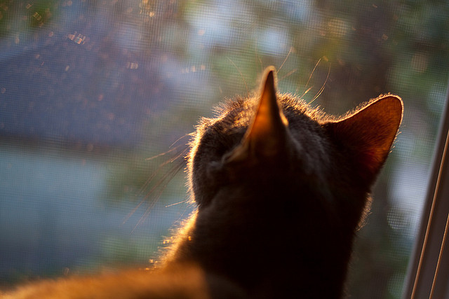 中国男篮注重阵容磨合打造高效配合，中国男篮的