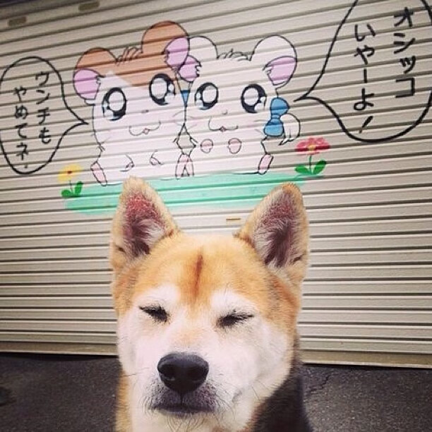 开云体育网站入口-中国足球国家队教练组完善多赛季对手数据库，中国足球队国家队教练