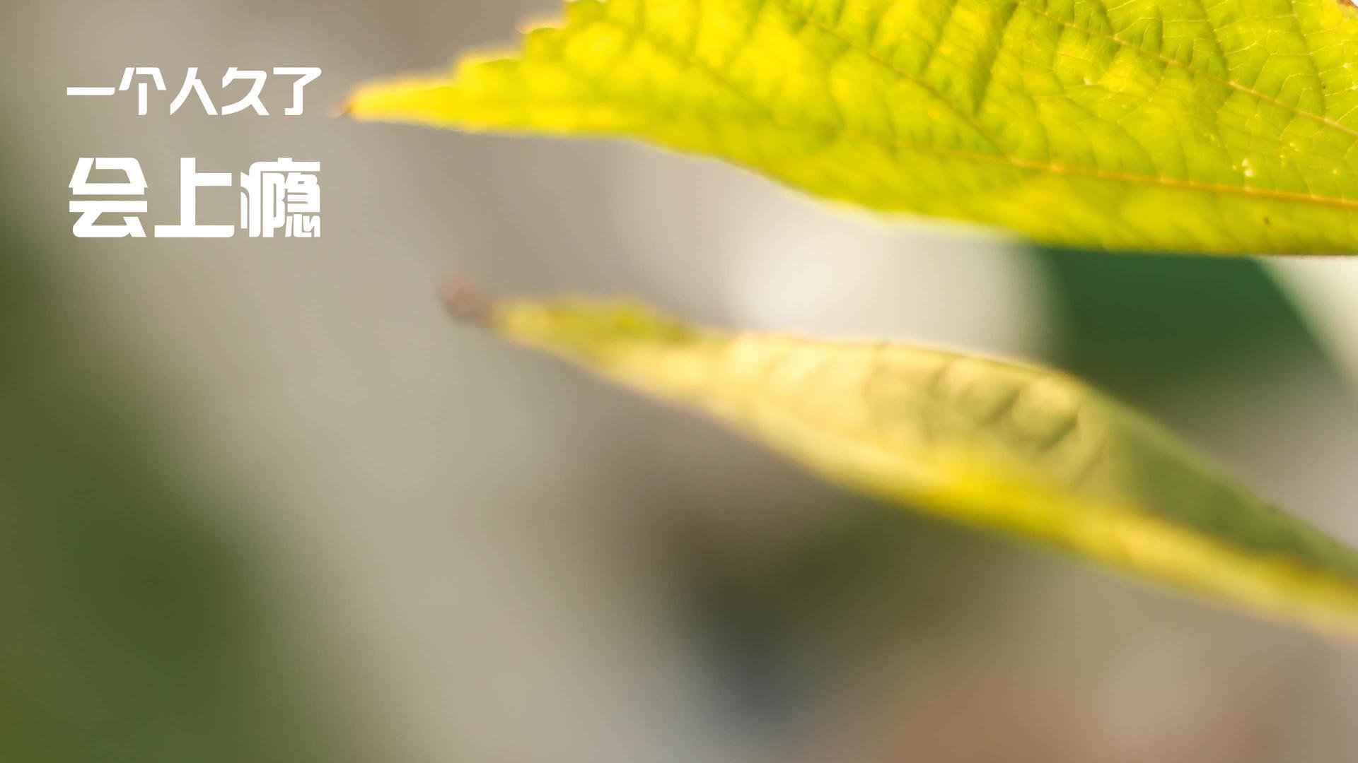 体育用品销量报告显示户外产品需求增长，户外用品预计市场占有率