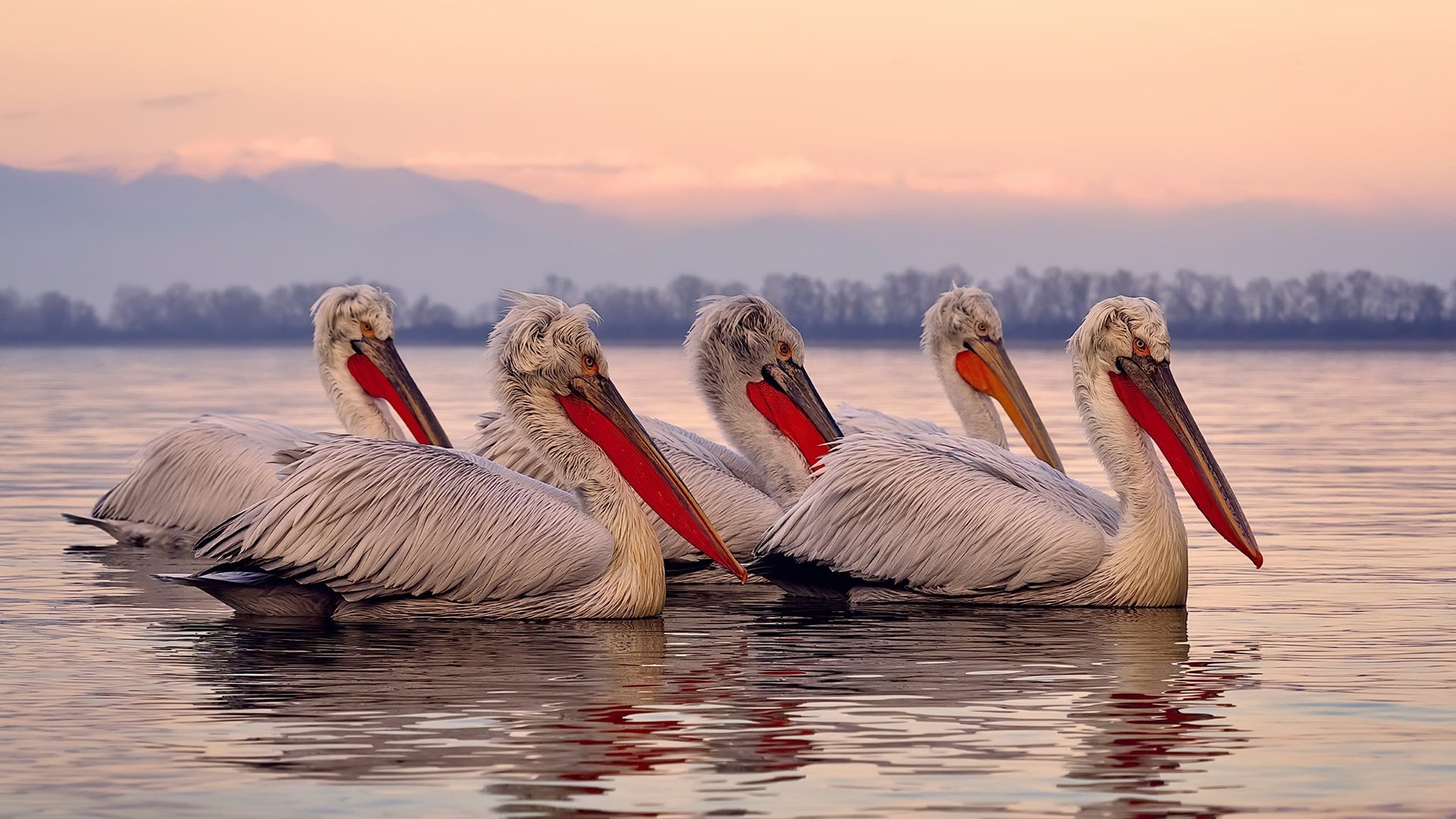 威少强势复出奇才防守效率提升，威少会留在奇才吗