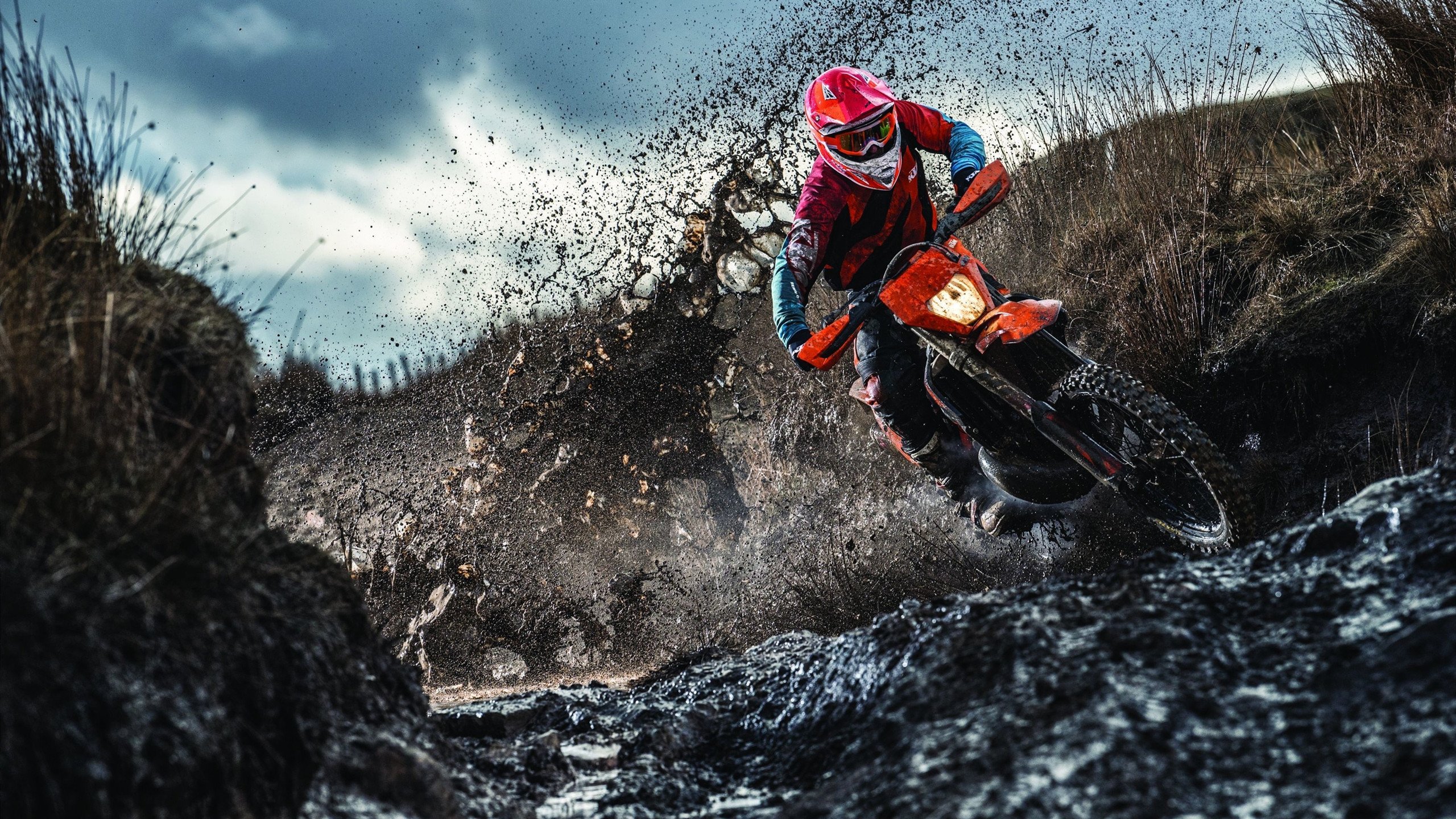 2026世界杯官方吉祥物全球线上线下同步发布，期待已久，2022年世界杯吉祥物