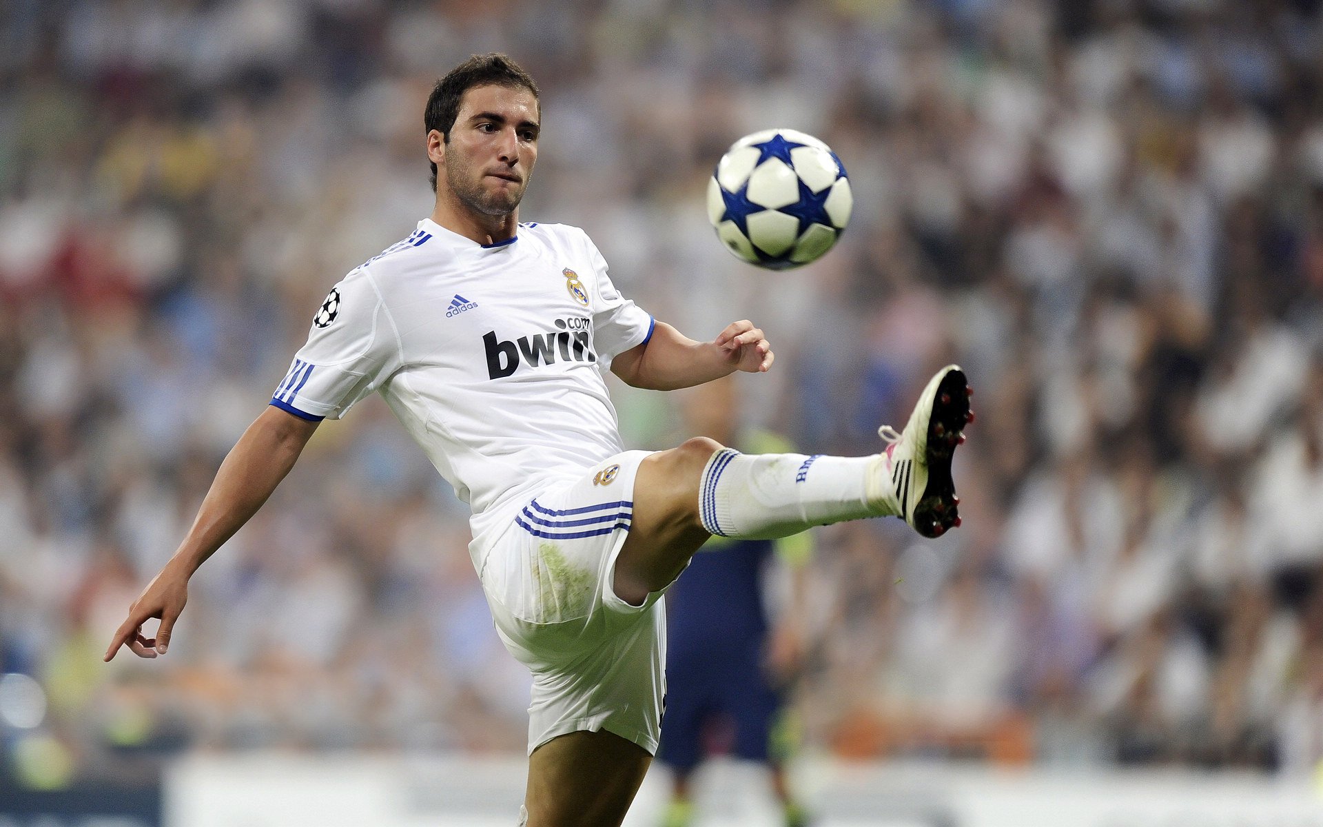 俱乐部推动女性裁判员招募实现性别多样化发展，赛事裁判员