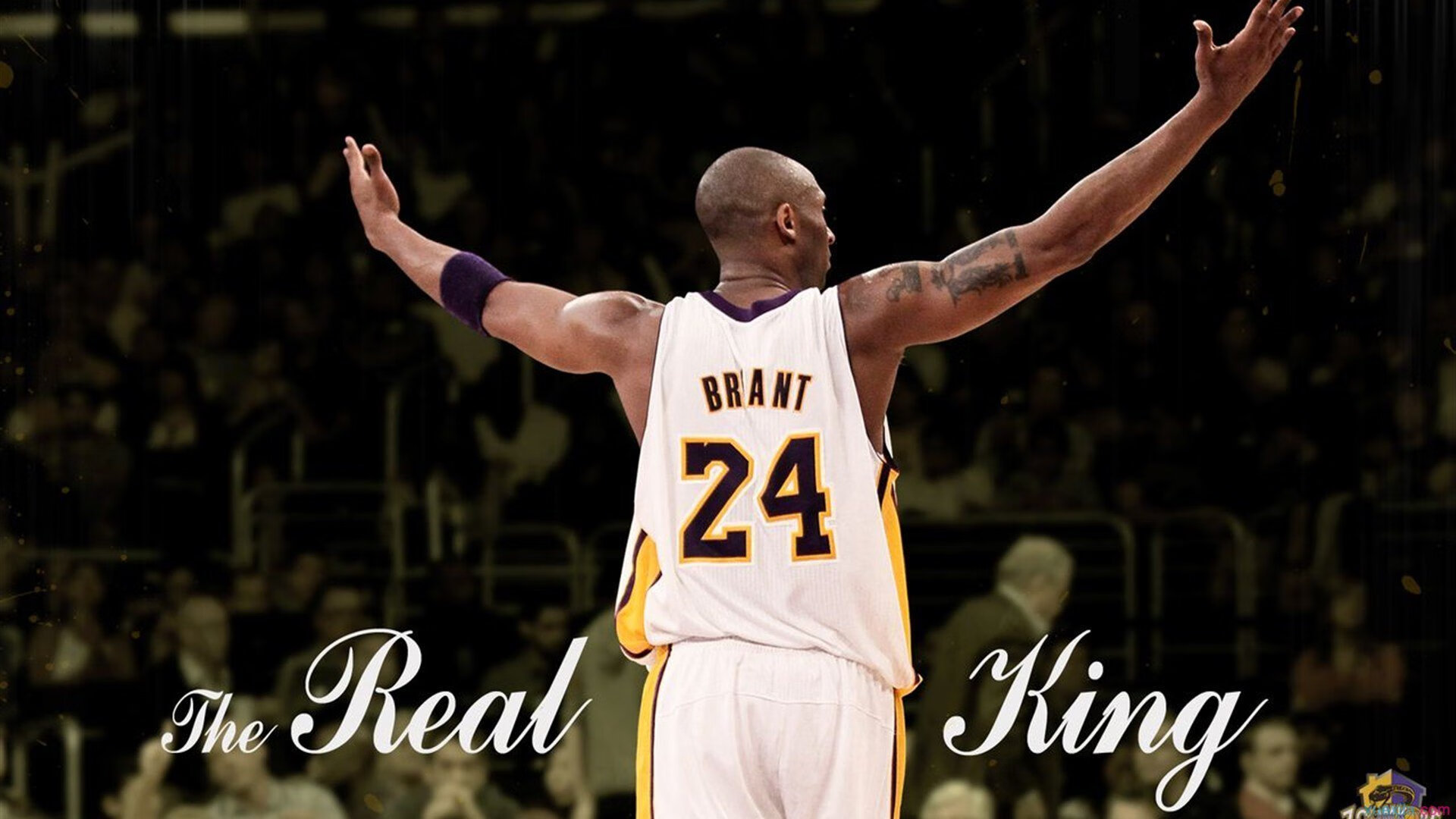 揭露19黄金一代真相！状元榜眼惨遭误解 6年2人数据争议，96黄金一代的状元